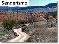 Ven a hacer senderismo a Vélez Rubio